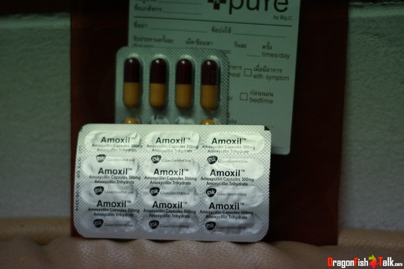 chloroquine tabletten kopen