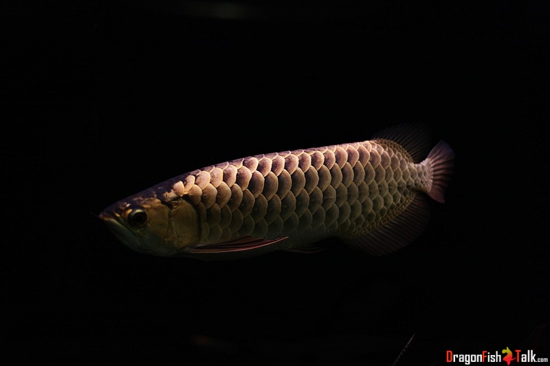 1350572175.jpg