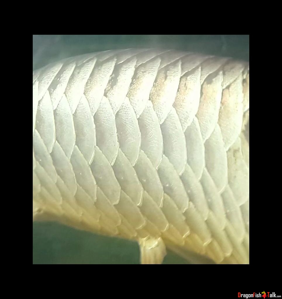 1378530570.jpg