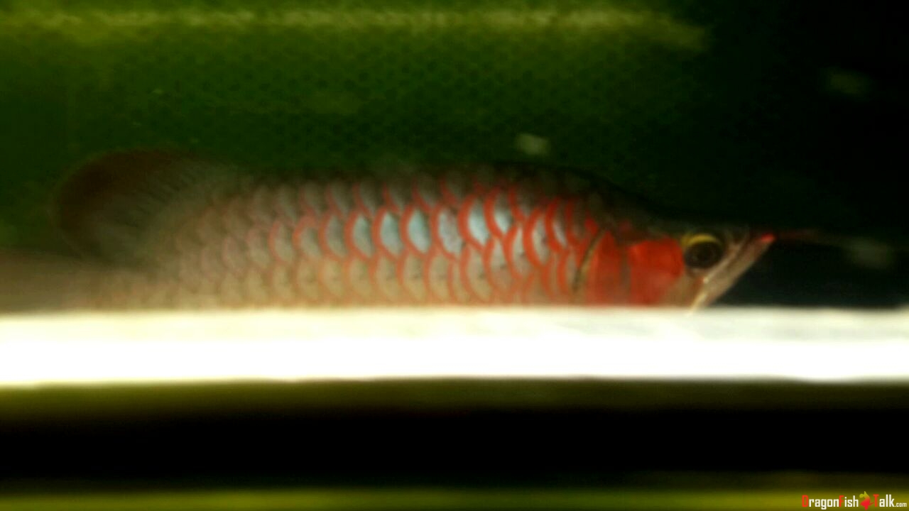 1379261186.jpg