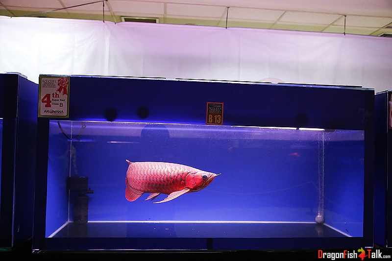 1380805293.jpg