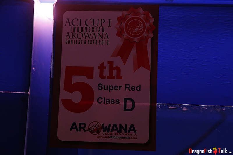 1380808548.jpg