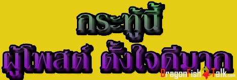1384170319.jpg