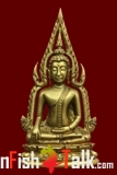 1385002321.jpg