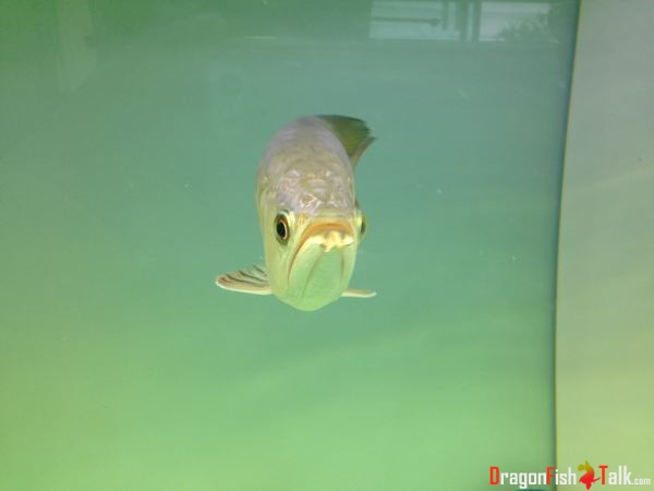 1387090349.jpg